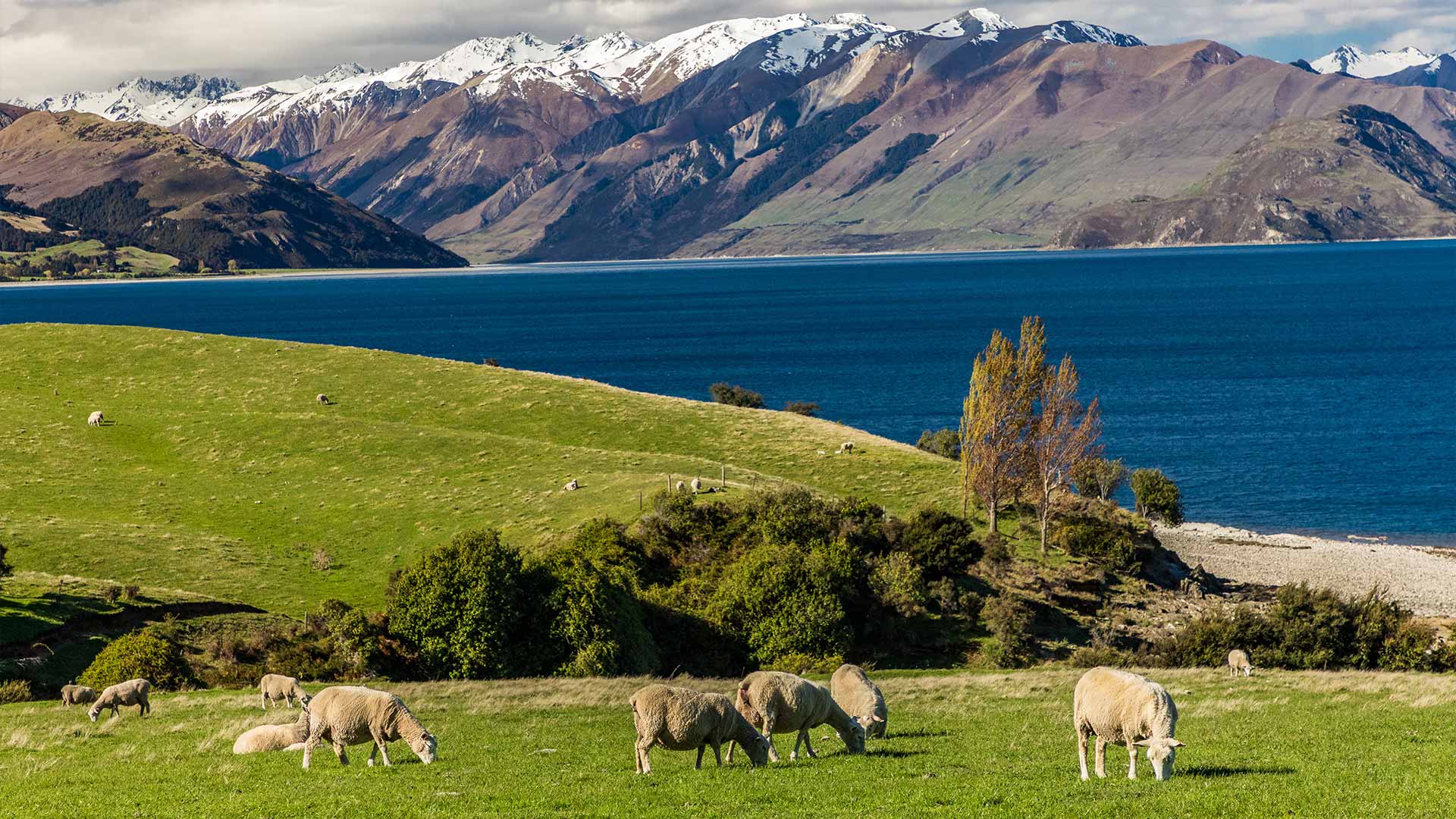 New Zealand Tourist Visa Tips: Common Rejection Reasons & Solutions