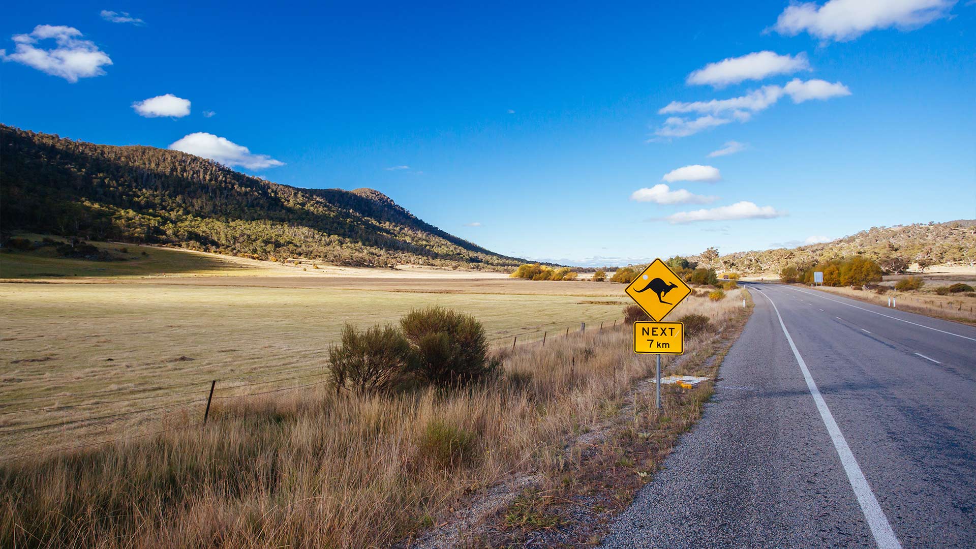 Australia Road Trip Guide: From the Great Barrier Reef to Kangaroo Island