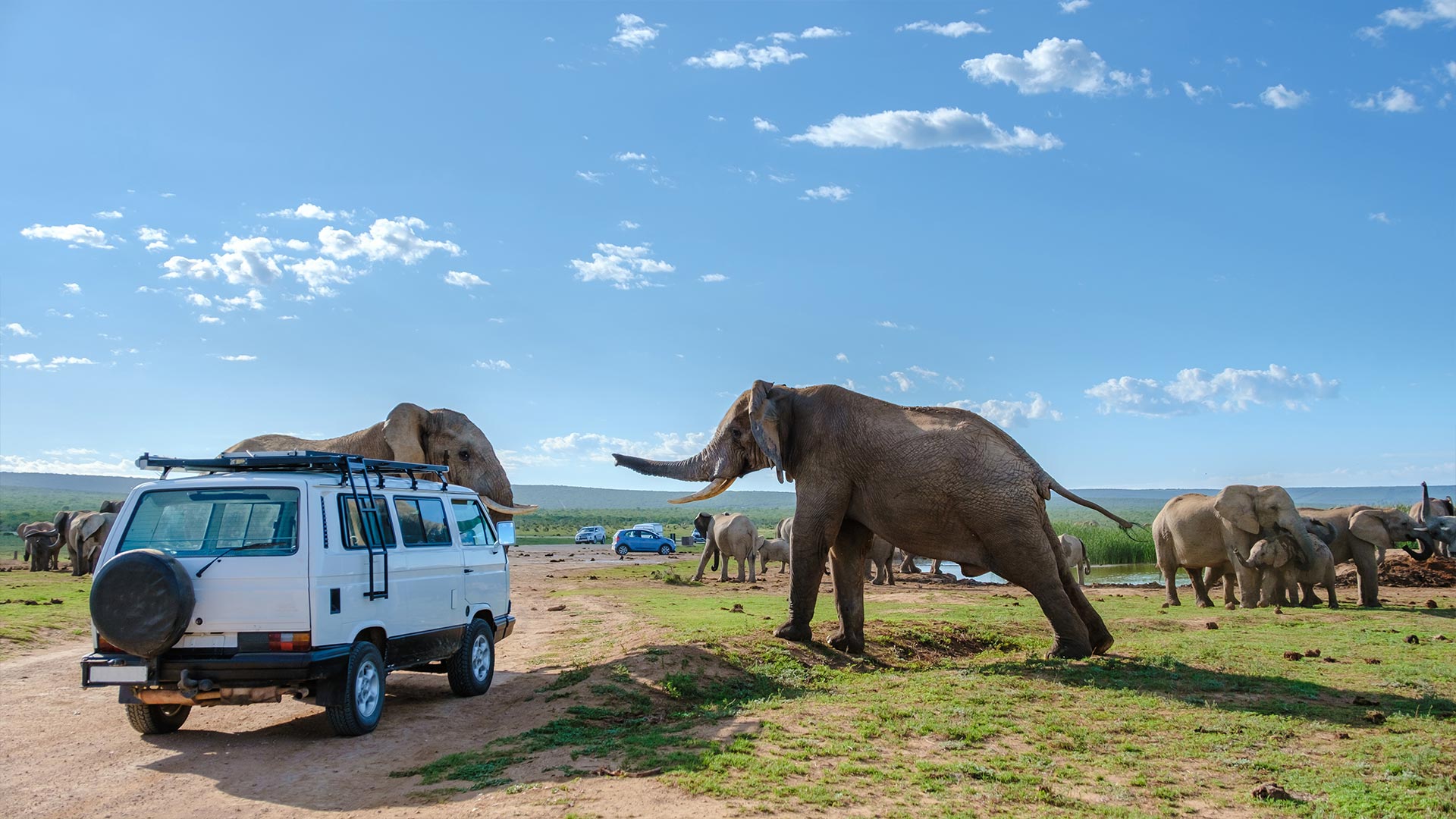Discover South Africa: Day Trips to Wildlife Parks & Natural Wonders
