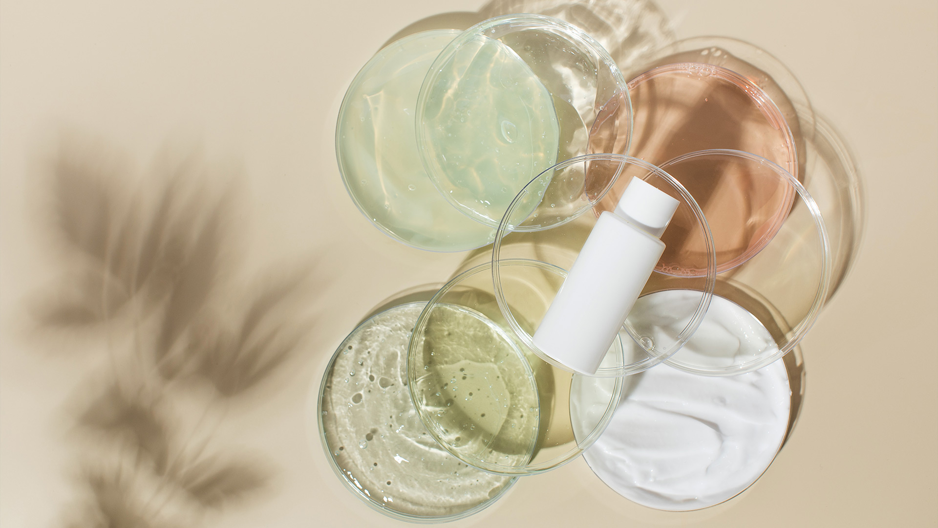 Simple Daily Habits for Glowing Skin All Year Long