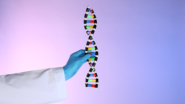Telomere Extension Strategies: Myth or Medical Reality?