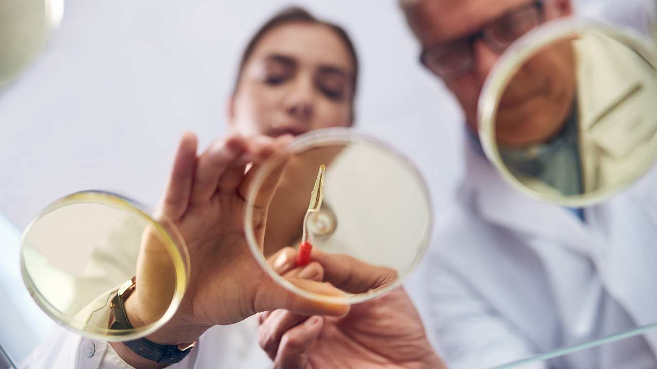 Stem Cells: The Future of Anti-Aging Medicine