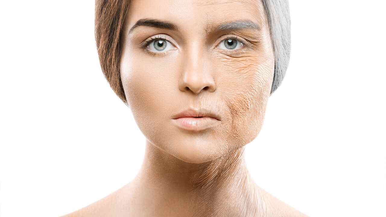 Reversing Aging with Stem Cells: What’s Possible Now