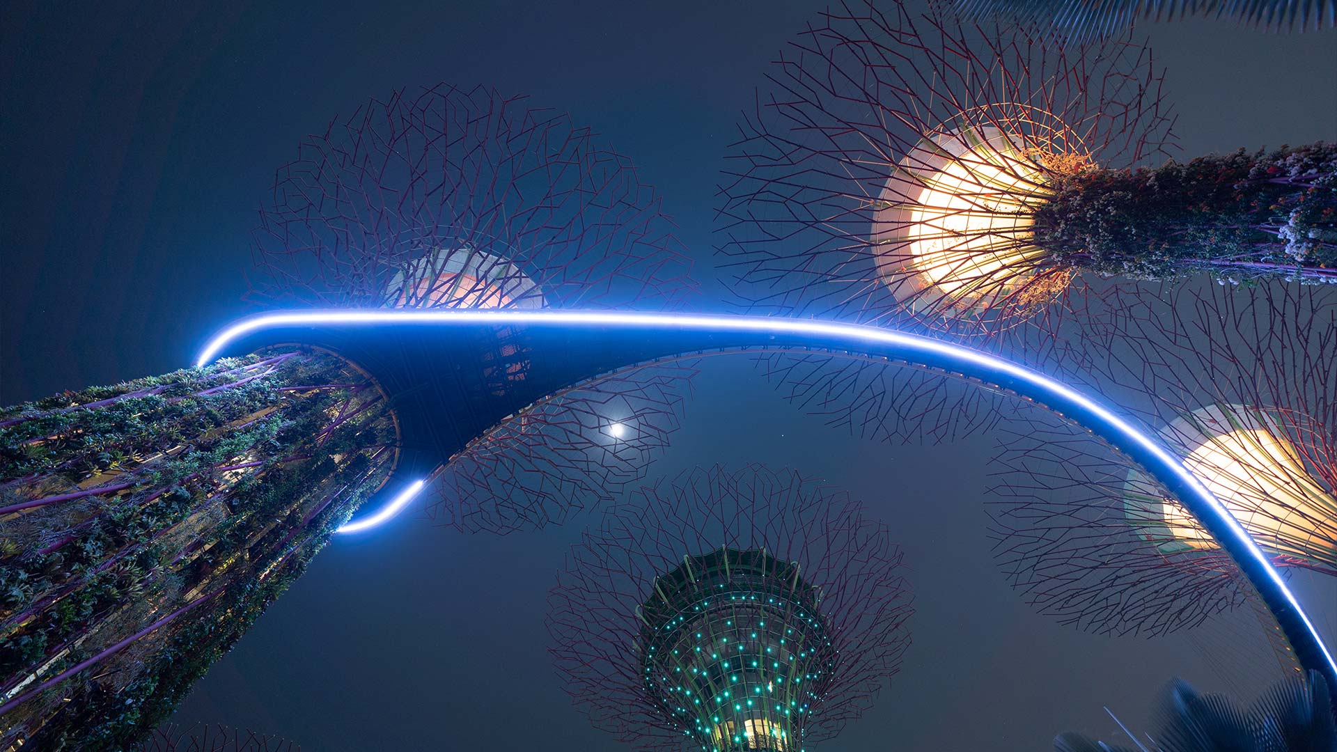 What Is a Wormhole and How Is It Related to Black Holes?