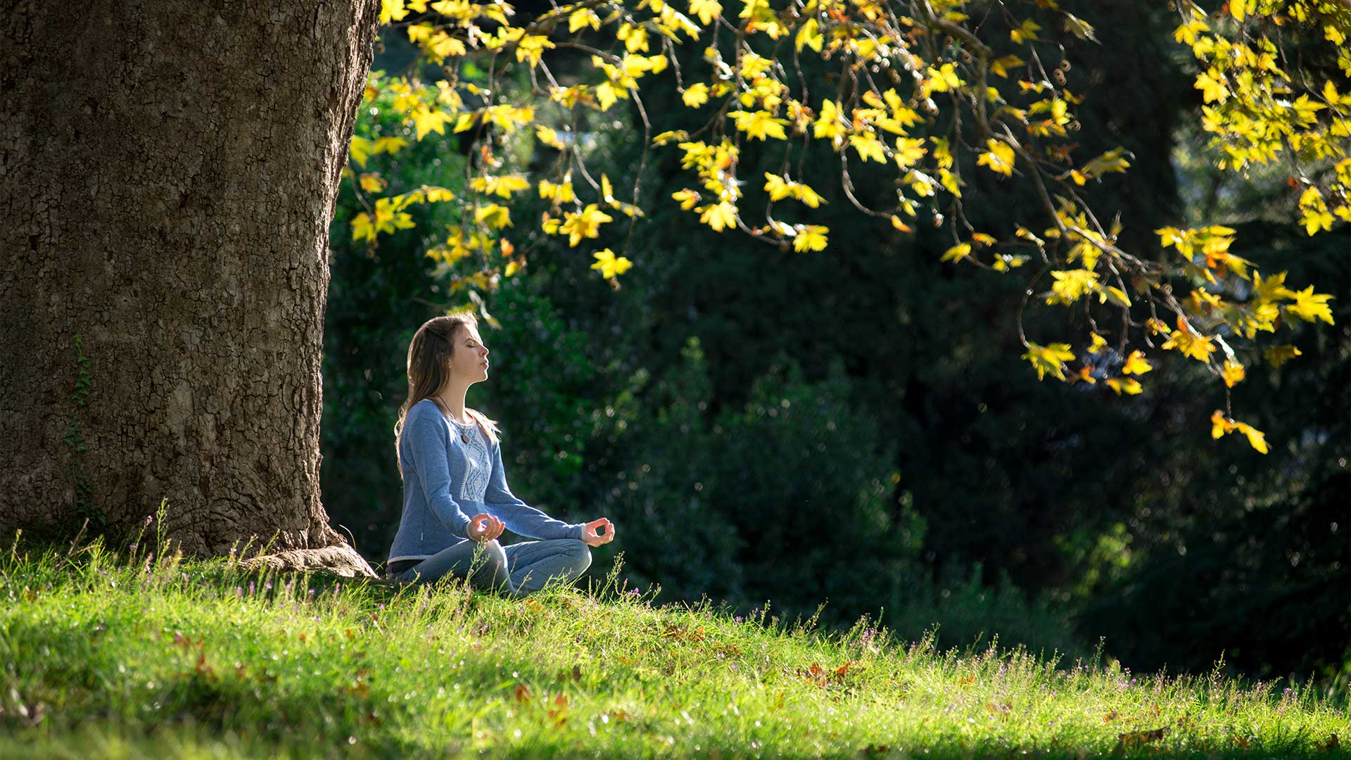 The Power of Mindfulness: How Meditation Can Slow Down Aging