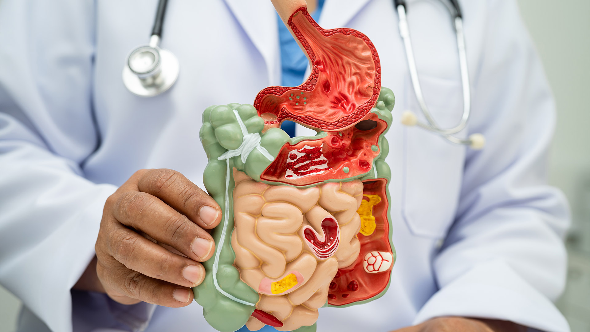 How Gut Health Affects Aging: Steps to a Youthful Digestive System