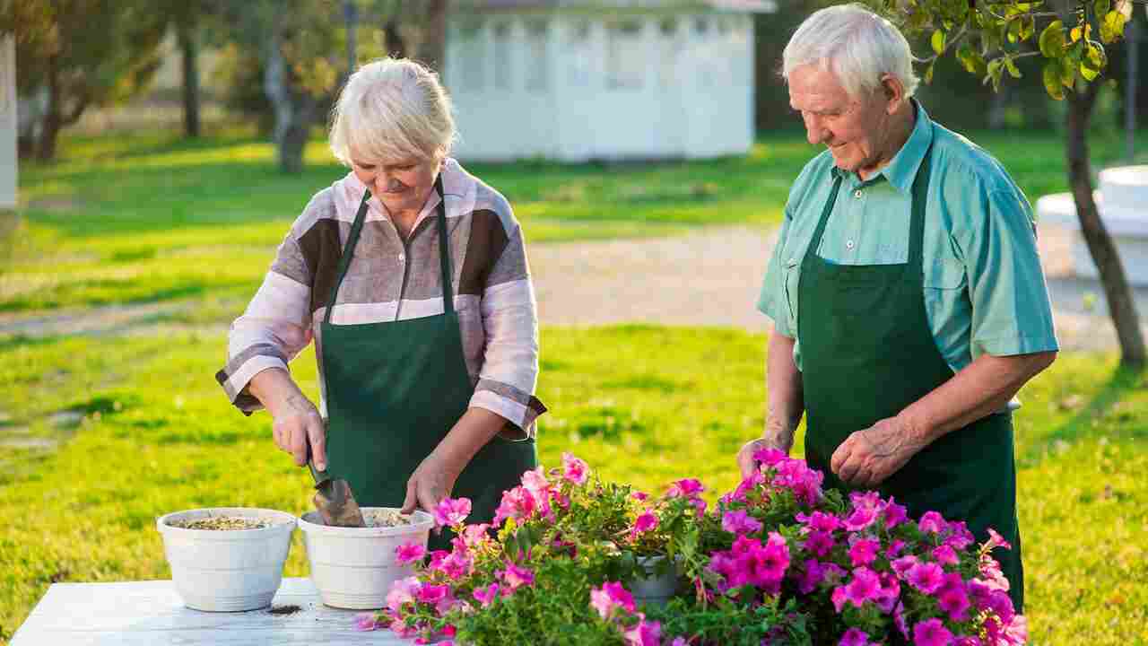 How a Simple Lifestyle in Costa Rica Could Add Years to Your Life