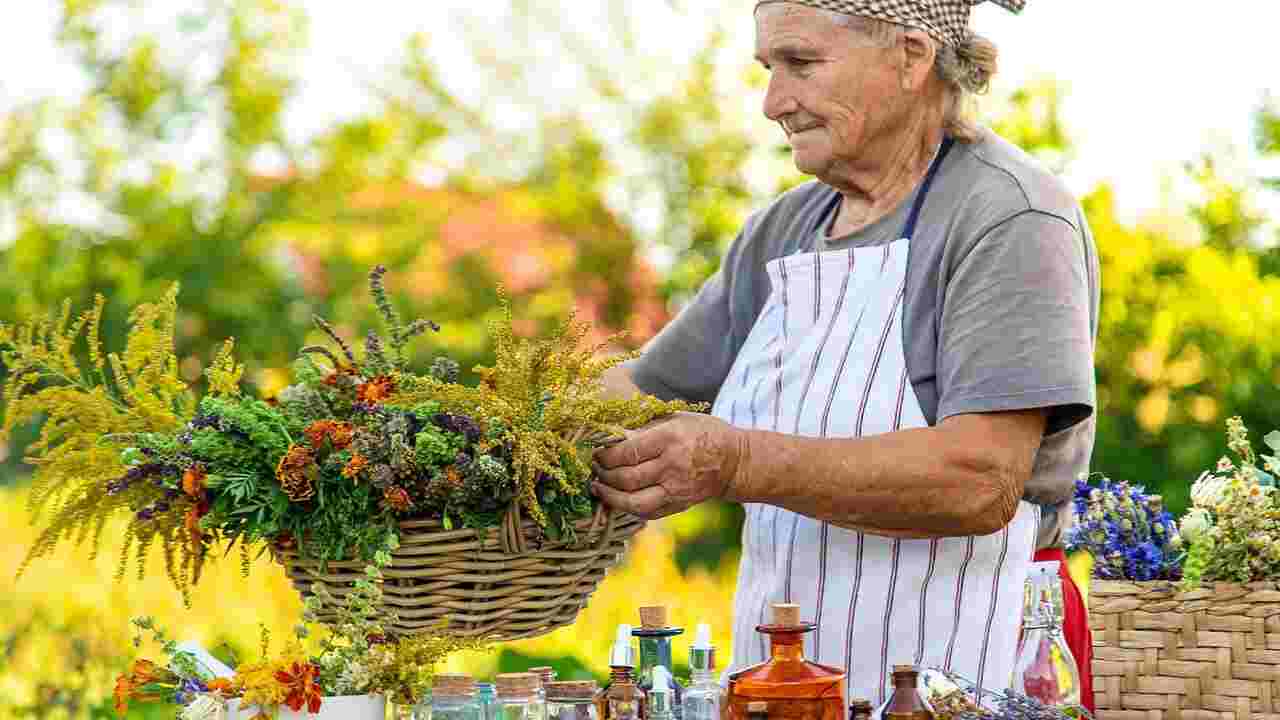 Hidden Longevity Villages You’ve Never Heard Of